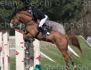 Fochi Qaro Dan TosTour2013- S5 2225 : Arezzo, Arezzo Equestrian Centre, Fochi Edoardo, Qaro Dan, Toscana Tour 2013, foto di Stefano Secchi ©